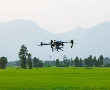 大疆农业无人机守护南非甘蔗，助力小农户解决植保难题｜文末有中秋好礼	